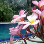 Seri Pengantin Resort